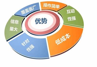 網(wǎng)絡(luò)推廣編輯的職責與新手入門指南（2024年12月最新版）