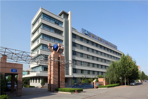 以管理升級助推企業高質量發展 中建八局一公司的總部管理實踐