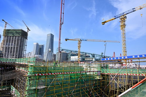 青島國際郵輪港區加速建設，企業總部管理黃金期按下快進鍵
